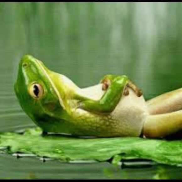 Poshmark isn’t just a j.o.b. It’s what I do💖 - Picture 4 of 8